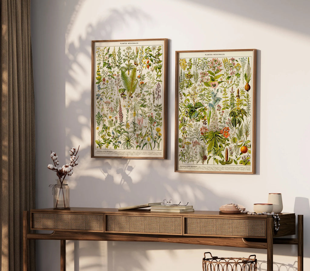Set of 2 Vintage Print Medical Plants- PRINT