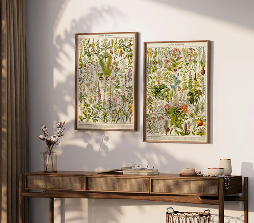 Set of 2 Vintage Print Medical Plants- PRINT