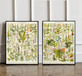 Set of 2 Vintage Print Medical Plants- PRINT