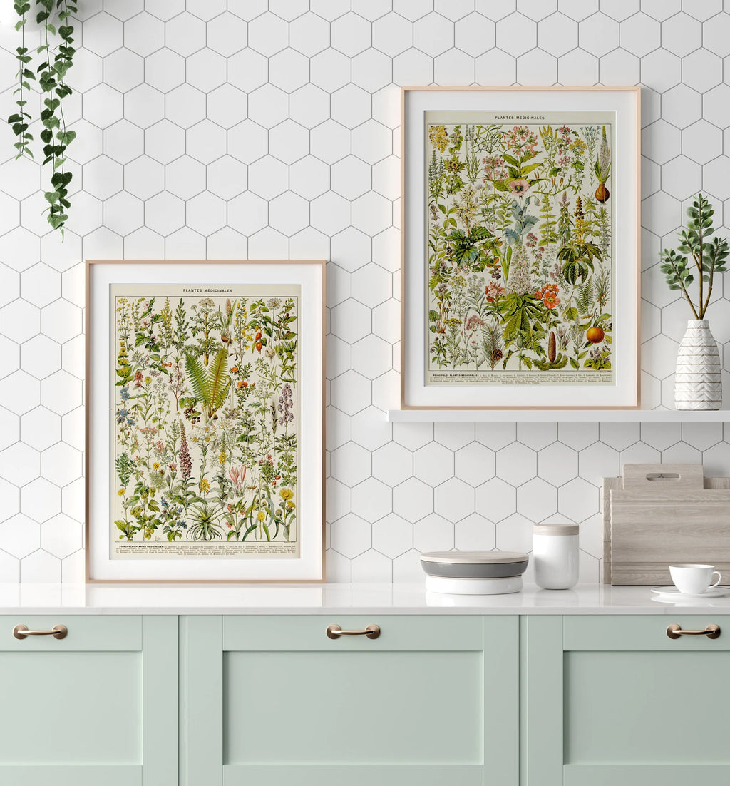 Set of 2 Vintage Print Medical Plants- PRINT