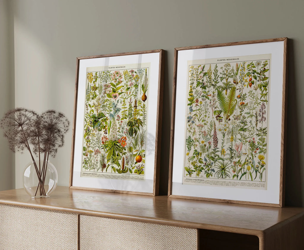 Set of 2 Vintage Print Medical Plants- PRINT