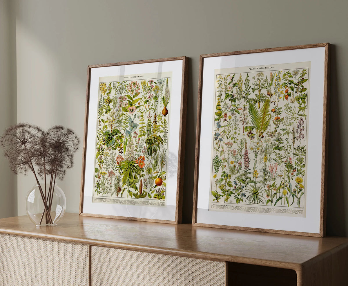 Set of 2 Vintage Print Medical Plants- PRINT